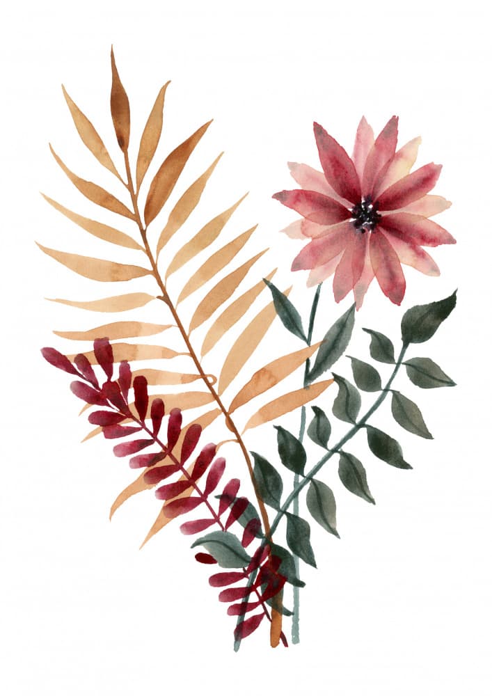 Autumn Watercolor Botanicals by Suchi Deb — canvas wall art