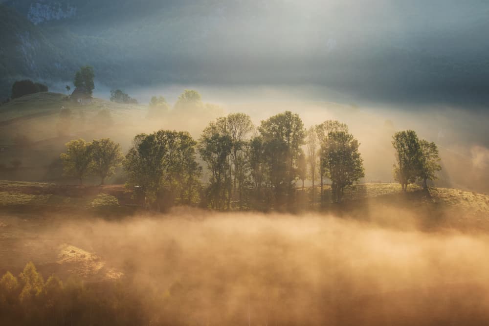 Sunrise Through Golden Fog by Alexandru Ionut Coman — canvas wall art