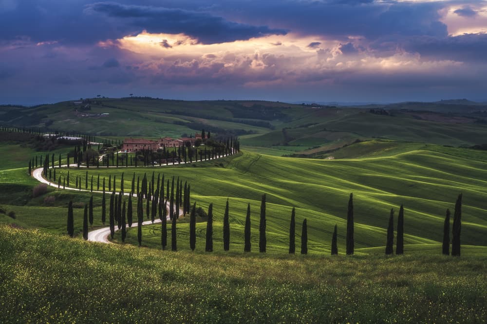 Tuscan Cypress Road Sunset by Jean Claude Castor — canvas wall art