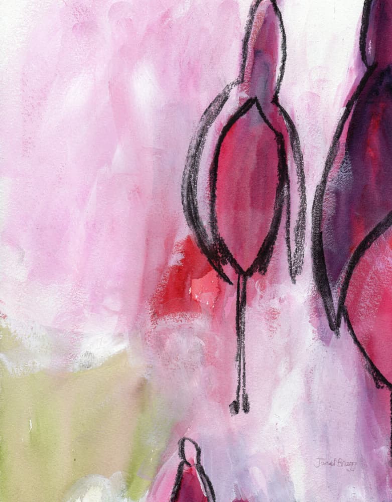 Vibrant Pink Fuchsias by Janel Bragg — canvas wall art