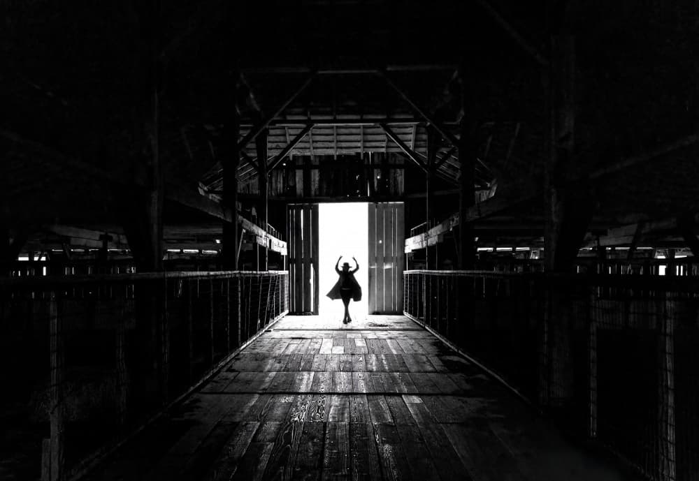 Dancing Towards Light by Dianne Mao — canvas wall art