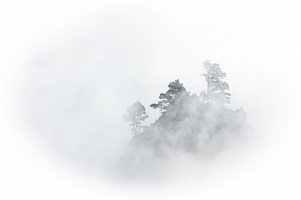 Misty Mountain Pines by Holger Schmidtke — canvas wall art