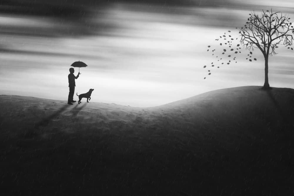 Man Dog Windswept Hill by Ivan Marlianto — canvas wall art