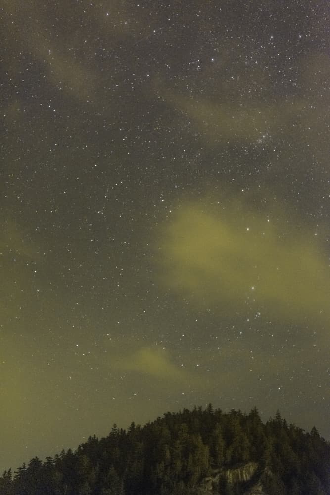 Starry Night Above Forest by Lynann Colligan — canvas wall art