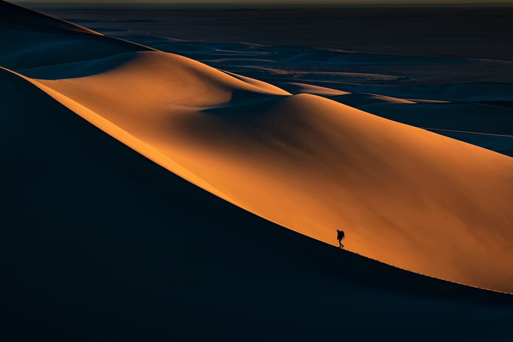 Golden Dune Ascent by Babak Mehrafshar — canvas wall art