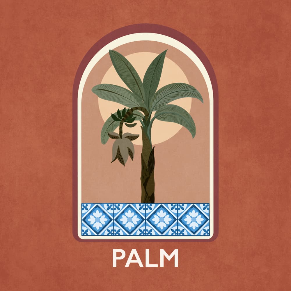 Green Sets Palm by Emel Tunaboylu — canvas wall art