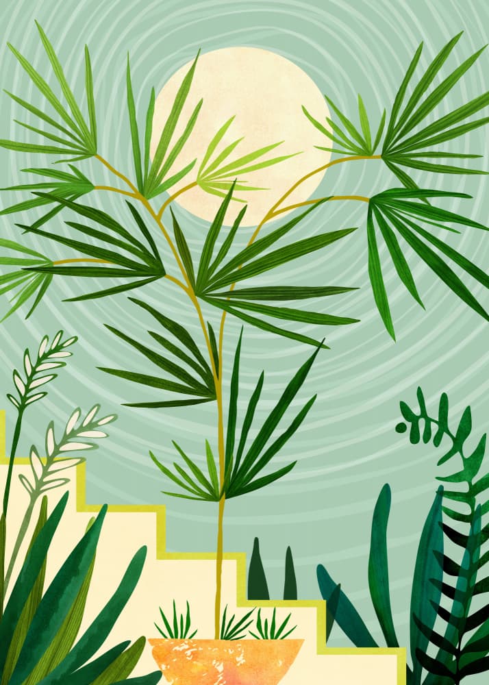 Mojave Spring by Kristian Gallagher — canvas wall art