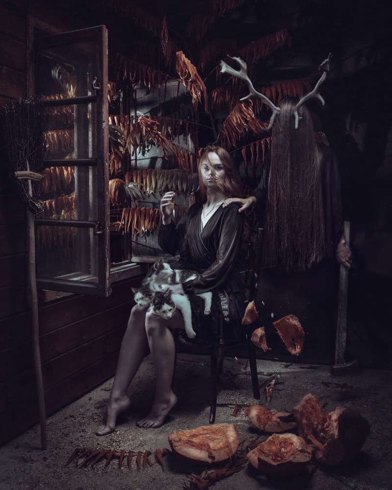 Dark Forest Folklore by Robert Girmencea — canvas wall art