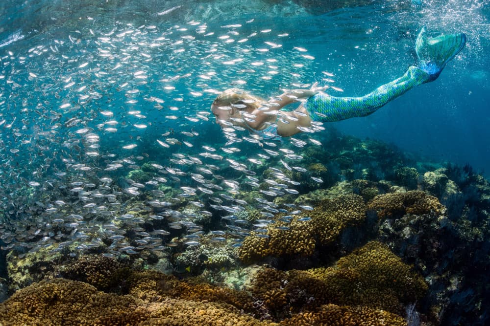 Mermaid Among Shimmering Fish by Andrea Izzotti — canvas wall art