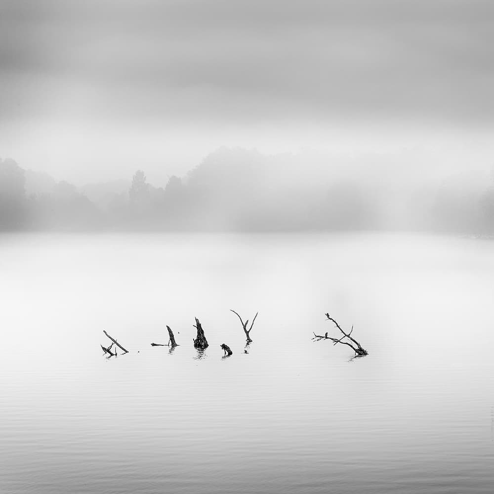 Quiet Lake Branches by George Digalakis — canvas wall art