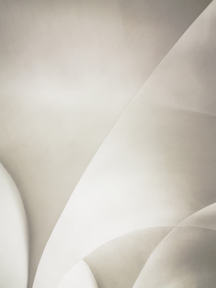 Modern Abstract Curves by Angelo Cerantola — canvas wall art