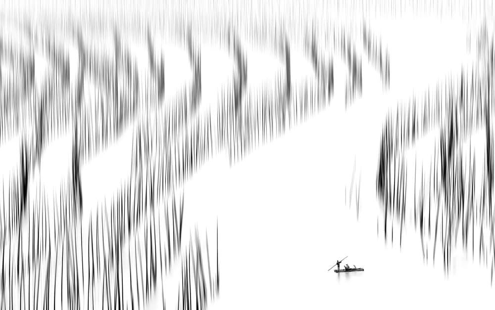 Monochrome Reed Journey by Hua Zhu — canvas wall art
