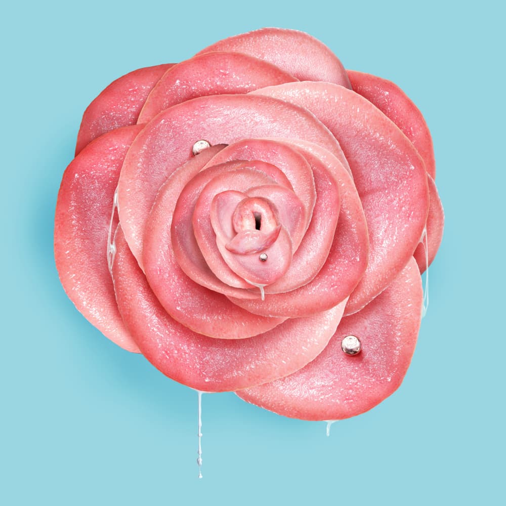 Pink Surreal Rose by Artem Pozdniakov — canvas wall art