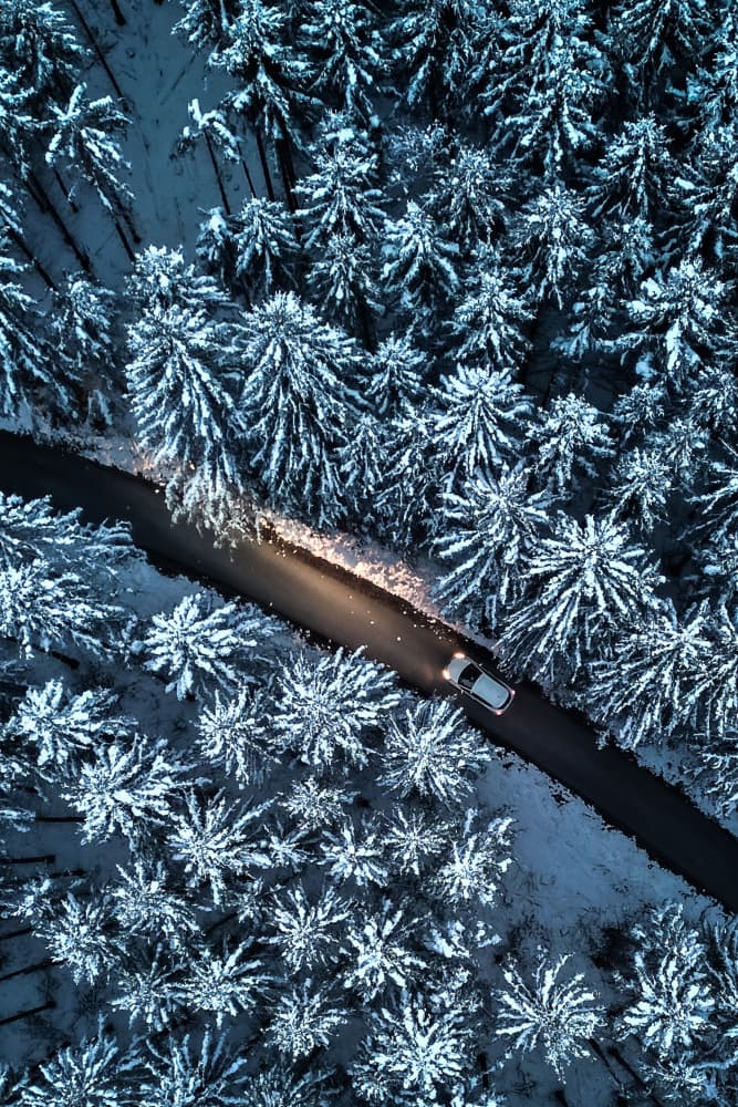 Winter Forest Drive by Joško Šimic — canvas wall art