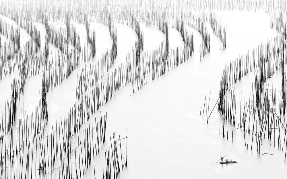 Winding Water Poles by Hua Zhu — canvas wall art