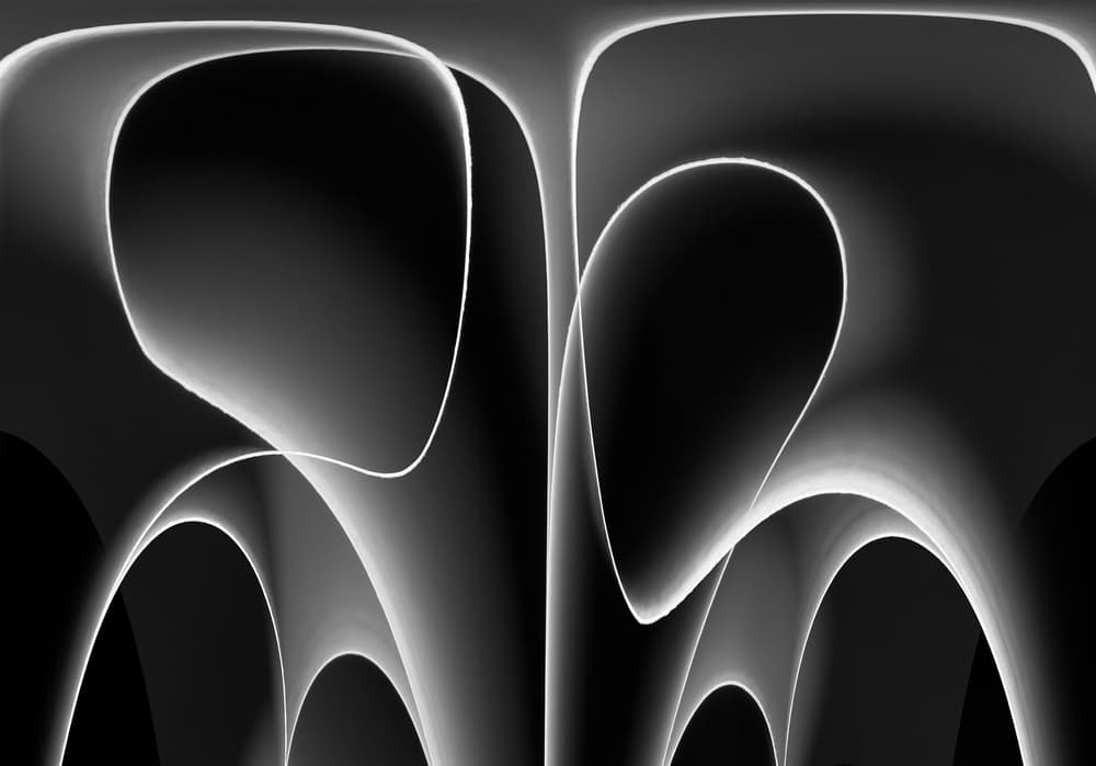 Elegant Flowing Lines by Jacqueline Hammer — canvas wall art