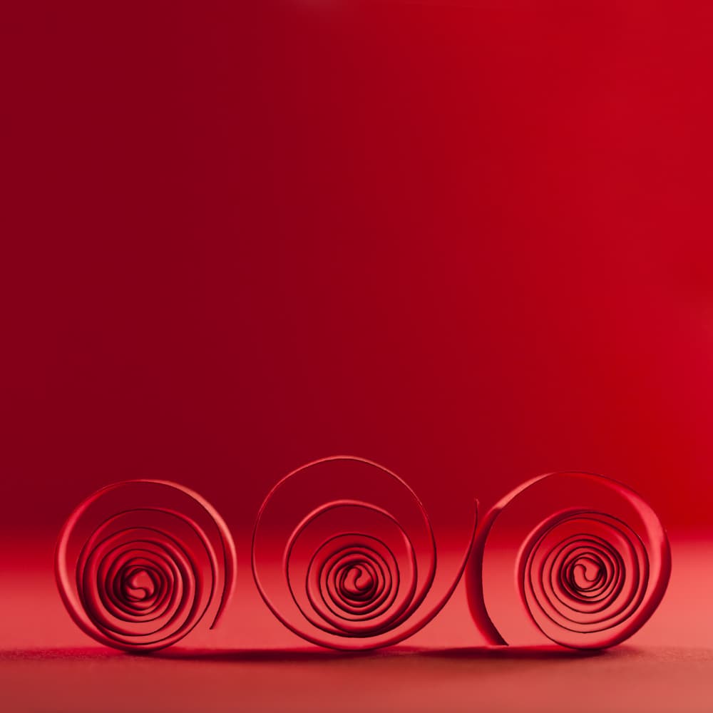 Crimson Paper Coils by Ileana Bosogea-Tudor — canvas wall art