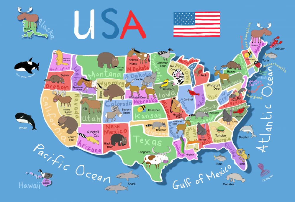 USA Animal States Map by Carla Daly — canvas wall art