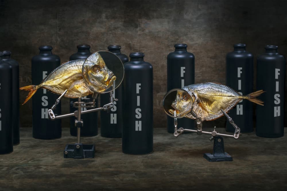 Curious Fish Study by Brig Barkow — canvas wall art