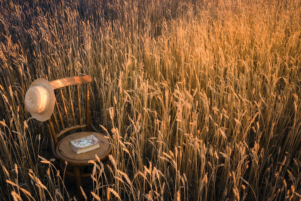 Golden Hour Wheat Field by Stephen Clough — canvas wall art