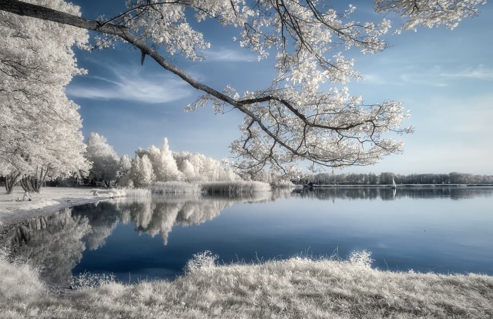 Ethereal Winter Lake Reflection by Piotr Krol (Bax) — canvas wall art