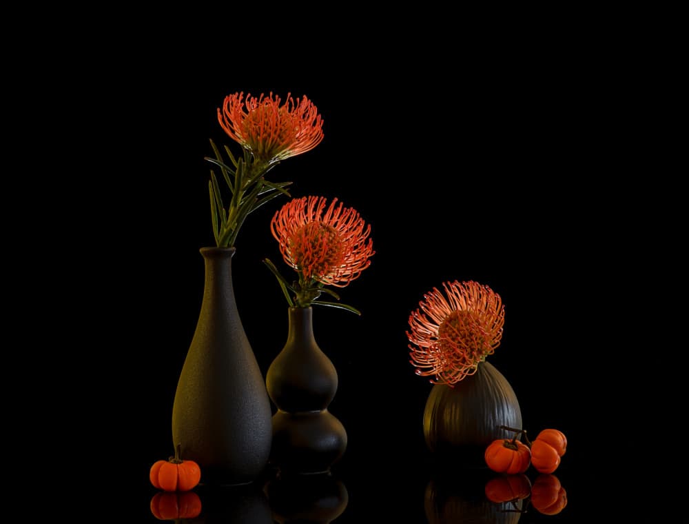 Autumn Protea Still Life by Alice Sheng — canvas wall art