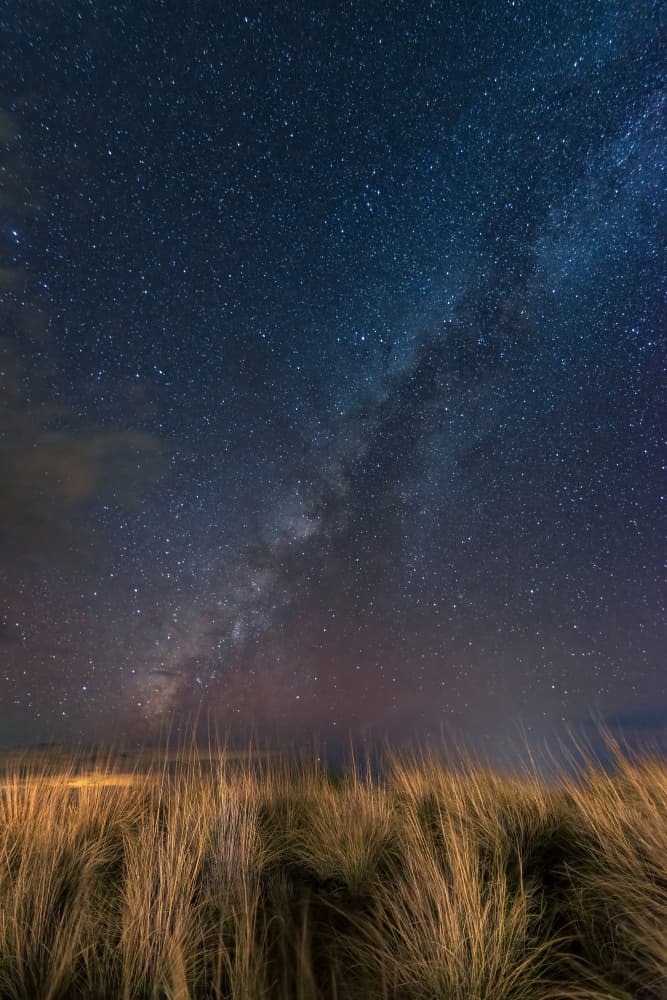 Milky Way Over Grass by Lian Tang — canvas wall art