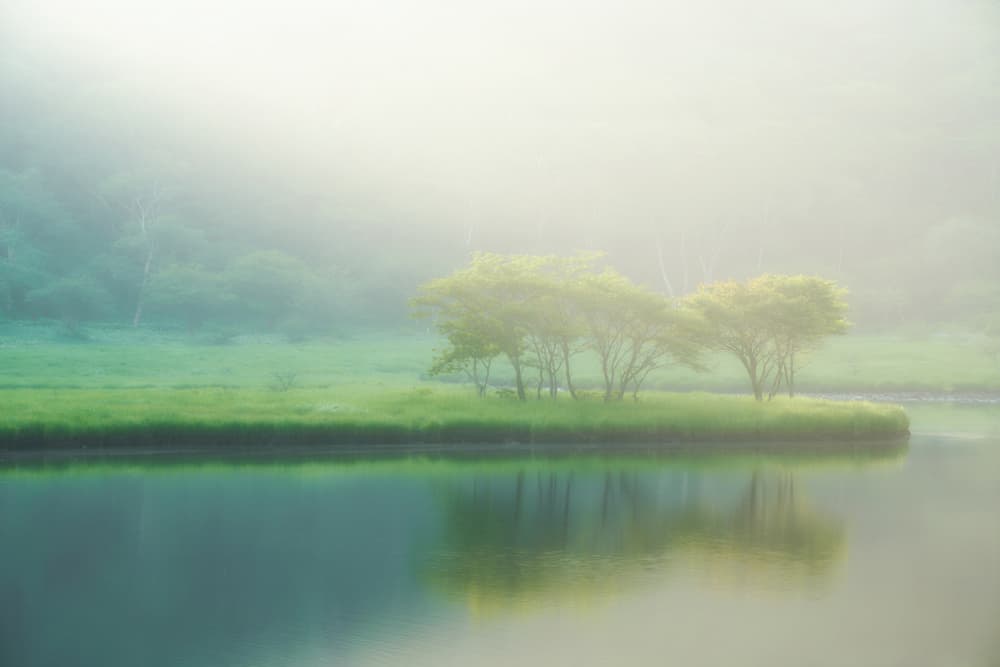 Misty Lake Island by Kat TAMURA — canvas wall art