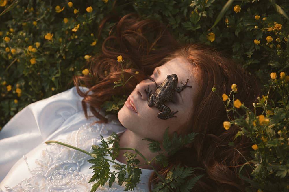 Dreaming with a Frog by Olga Barantseva — canvas wall art