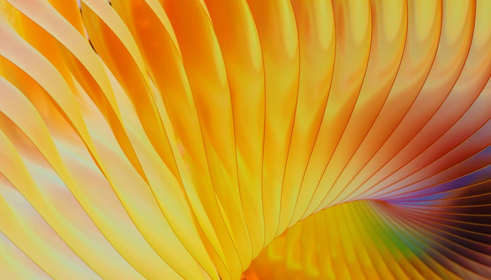Radiant Golden Curves by Javier Pardina — canvas wall art