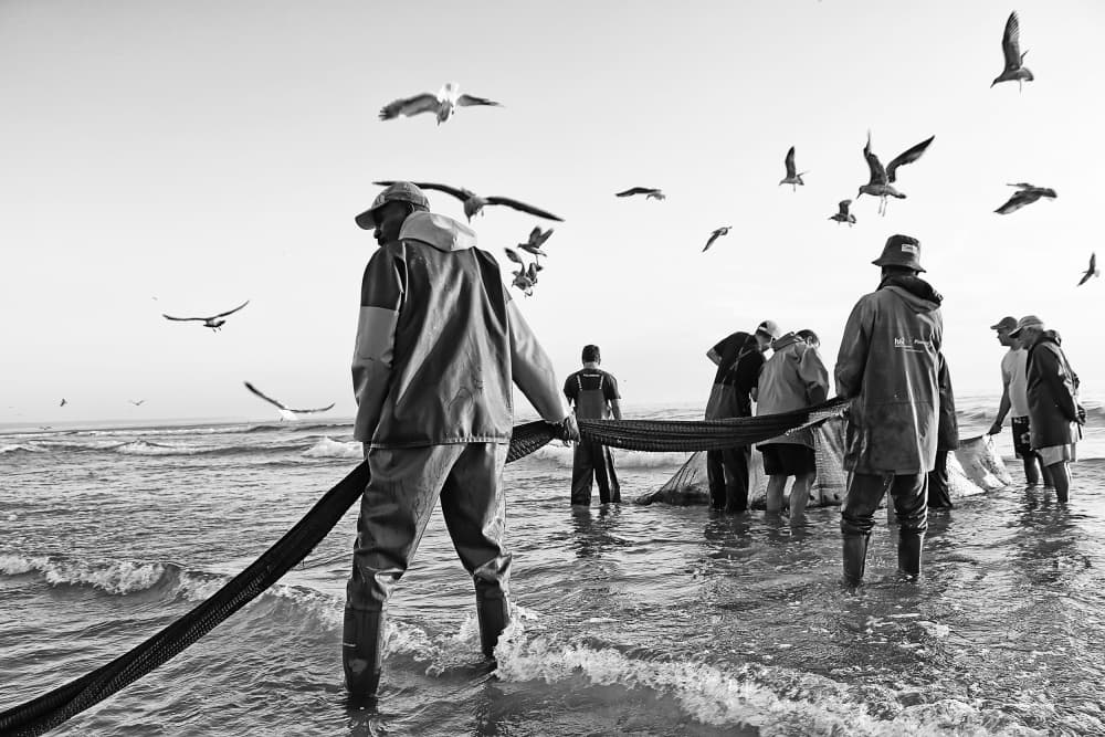 Coastal Fishermen And Seagulls by Josefina Melo — canvas wall art