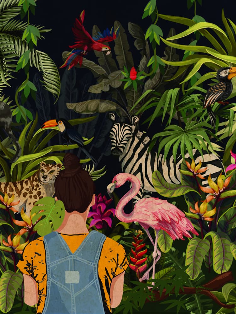 Jungle Animal Discovery by WallChart Art Studio — canvas wall art