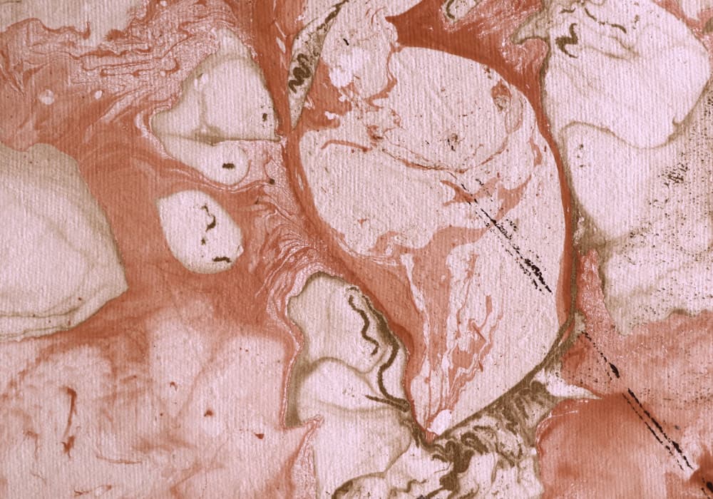 Blush Marble Flow by Santhosh ch — canvas wall art