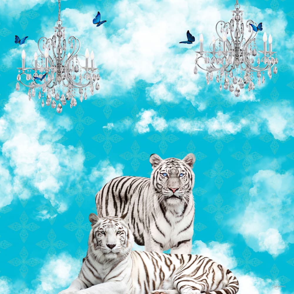 White Tigers Dream Sky by Sue Skellern — canvas wall art