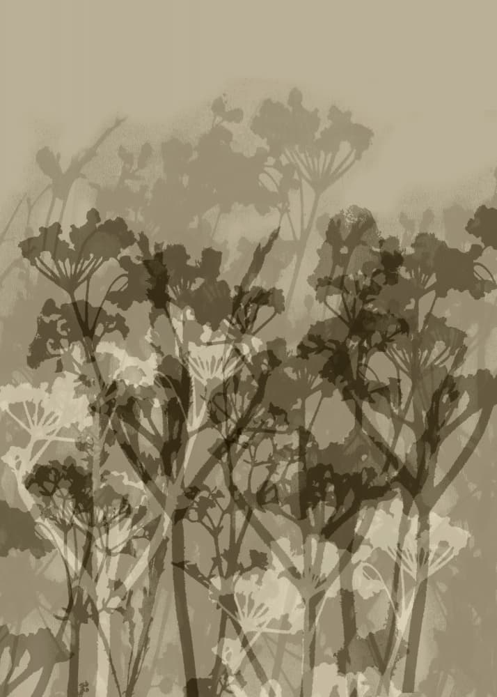 Sepia Floral Silhouettes by Dina Dankers — canvas wall art