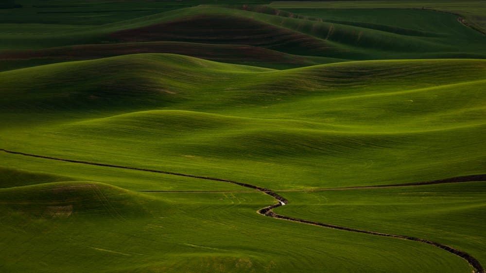 Lush Rolling Hills by Wendy Xu — canvas wall art