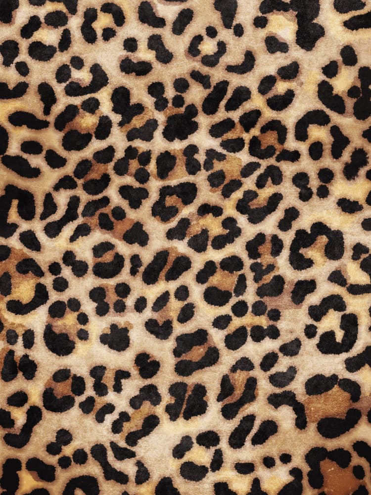 Wild Patterned Canvas by Emel Tunaboylu — canvas wall art