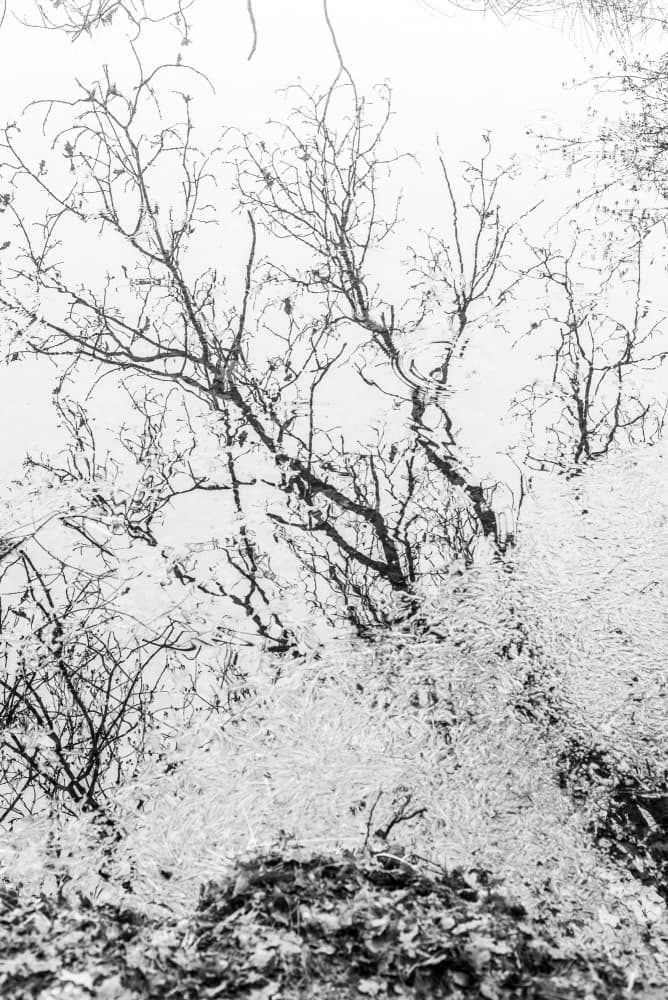 Stark Winter Branches by Imaginative — canvas wall art