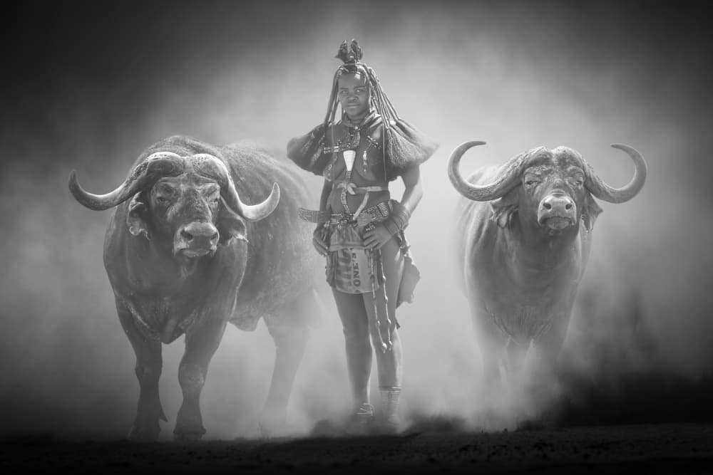African Warrior Buffalo by Marcel Egger — canvas wall art