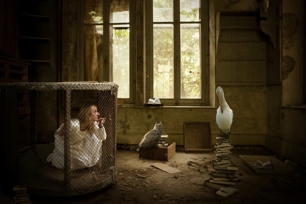 Caged Woman and Pelican by Christine von Diepenbroek — canvas wall art