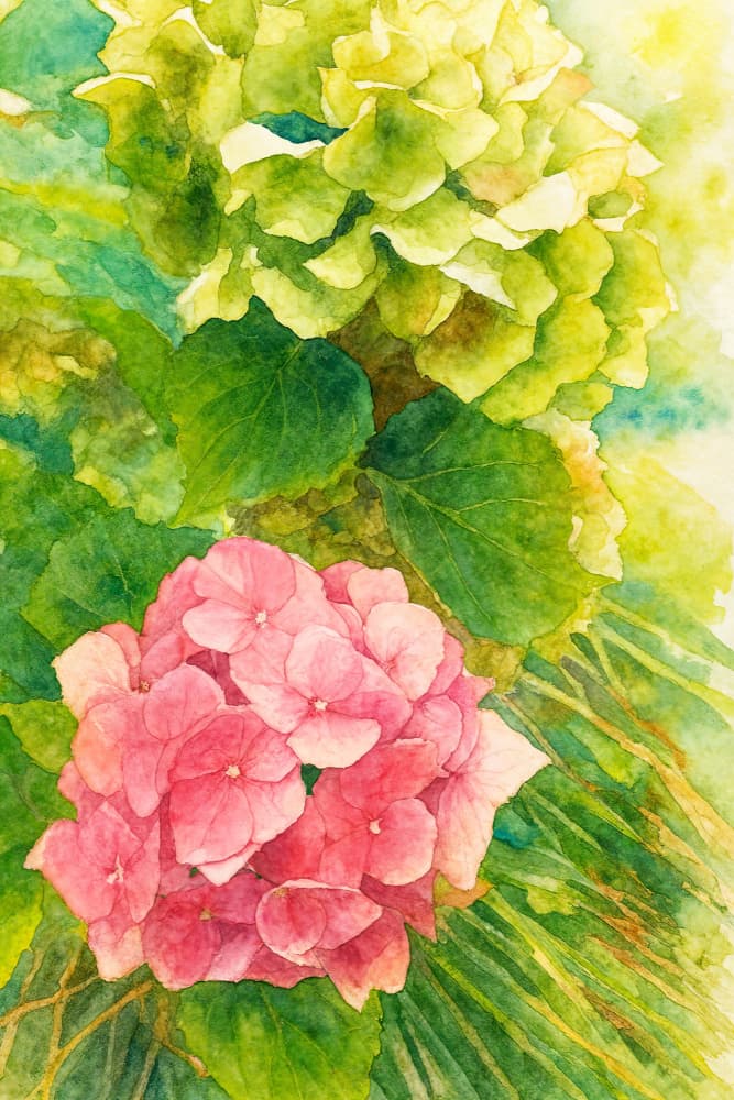 Pink And Green Hydrangeas by Natalie Bruns — canvas wall art