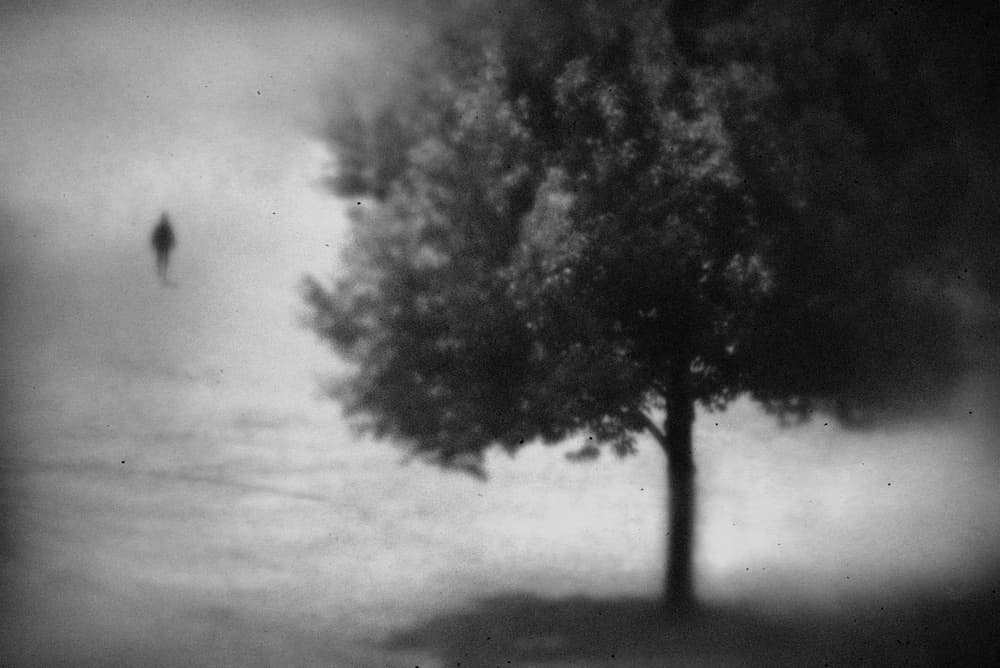 Misty Path Lone Figure by Teruhiko Tsuchida — canvas wall art