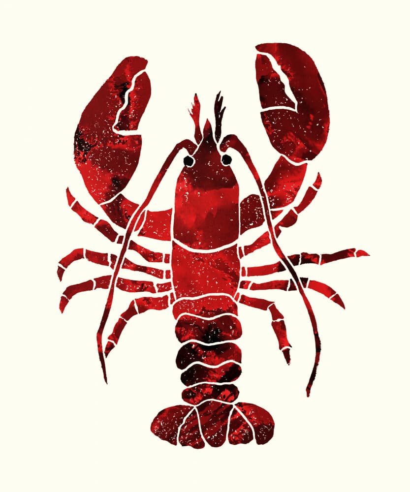 Vibrant Red Lobster by Melissa McKeagney — canvas wall art