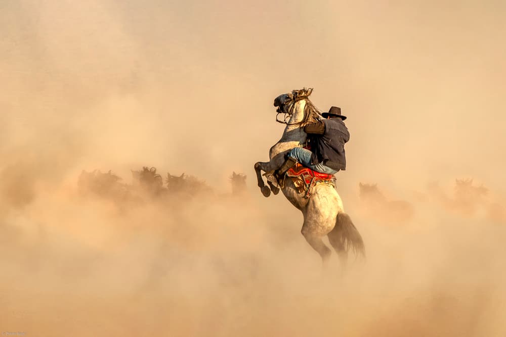 Cowboy Rears Horse by Zühdü Bilgin — canvas wall art