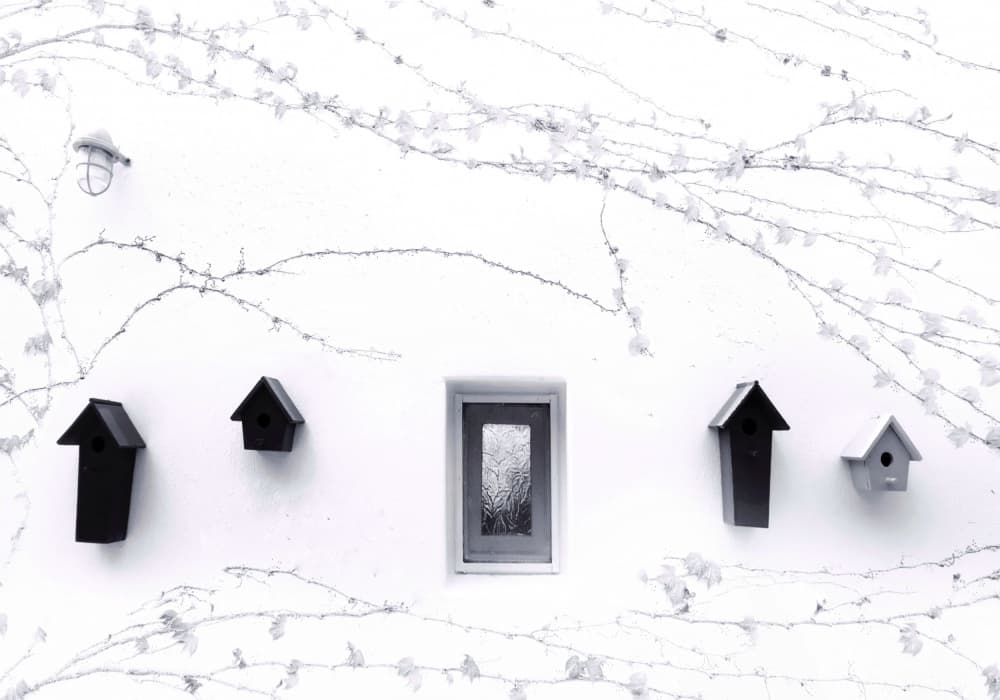 Minimalist Birdhouse Wall by Jasmine Zhang — canvas wall art