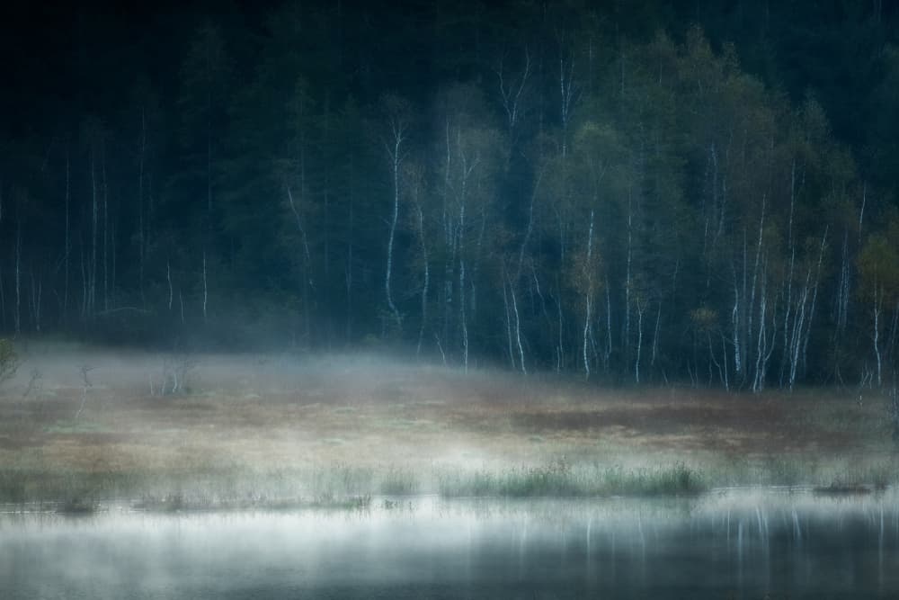 Misty Forest Lake by Ulrike Eisenmann — canvas wall art