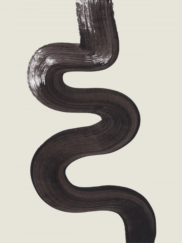 Fluid Dark Stroke by Ejaaz Haniff — canvas wall art