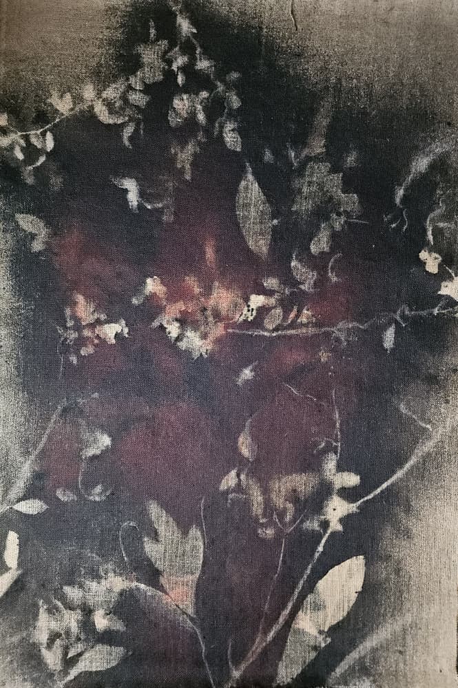 Vintage Botanical Fade by Stefano Mazzolini — canvas wall art