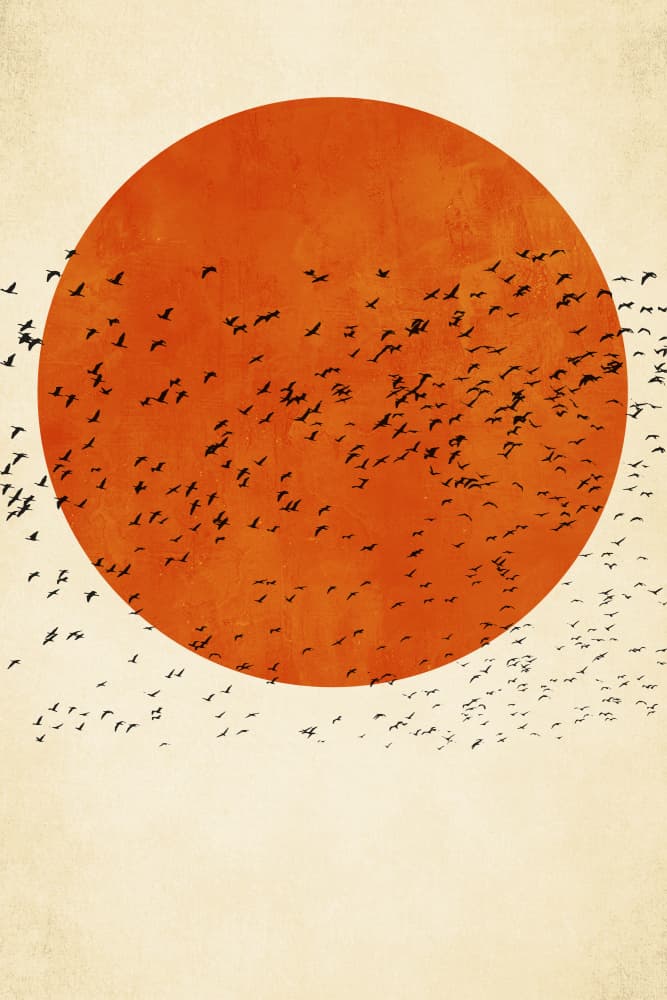 Birds In the Sun by Kubistika — canvas wall art