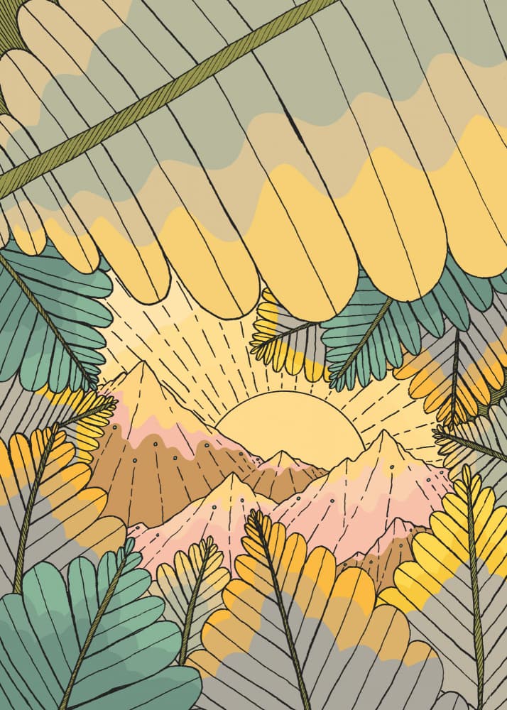 Jungle Mountain Sunrise by Stephen Wade — canvas wall art